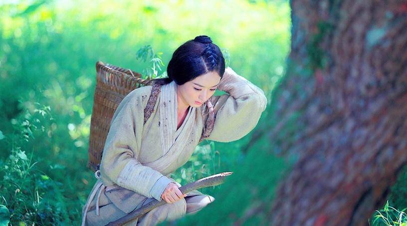 朱祁钰|盘点10个古装剧中的美女神医！赵丽颖、刘诗诗超仙，鞠婧祎惊艳