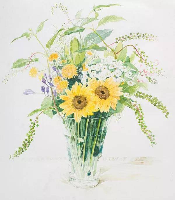 日本柘植彩子ayako Tsuge的花卉静物水彩画作品 艺术 Tsuge Ayako