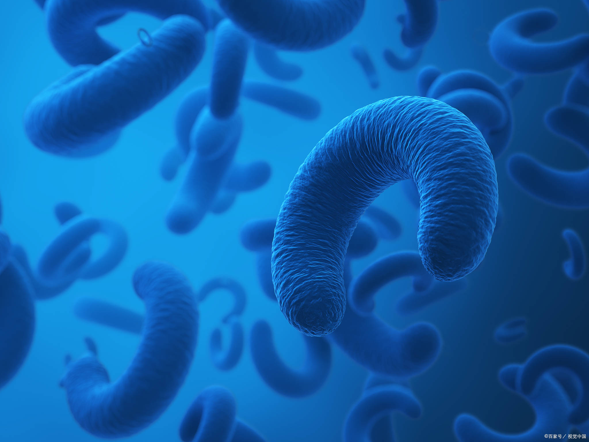 支原体染色检测试剂盒