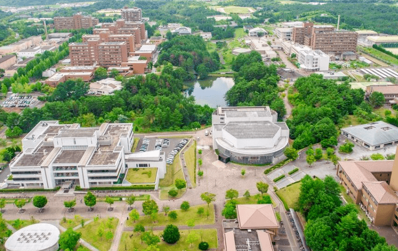 广岛大学:都过去75年了,我真的没有核辐射!