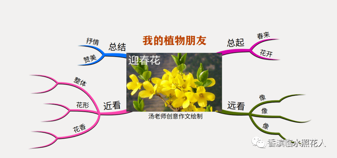 原创思维导图画作文我们眼中的缤纷世界我的植物朋友桃花十三
