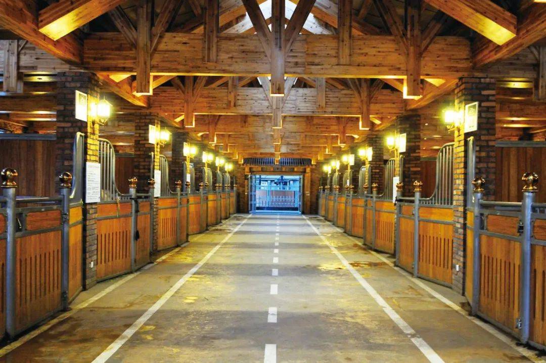 比赛_马厩_障碍