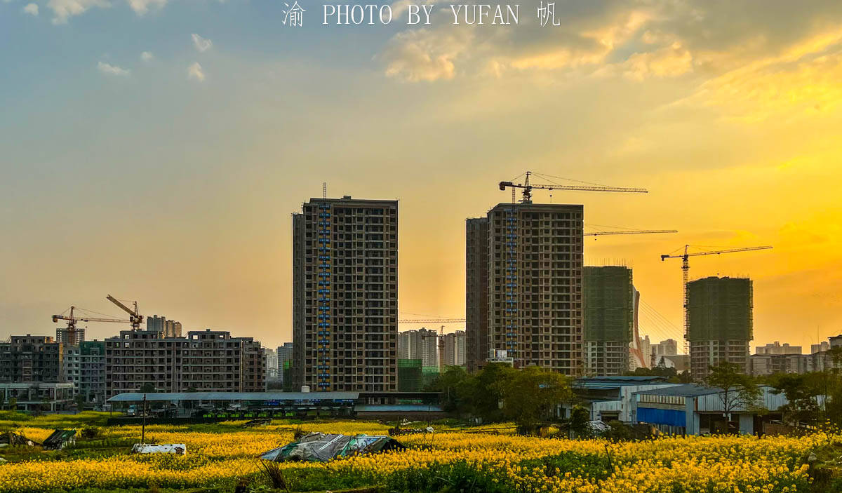 夕阳|重庆有座被菜花装扮的小城，不出城便能看到美景，窗外遍地流金