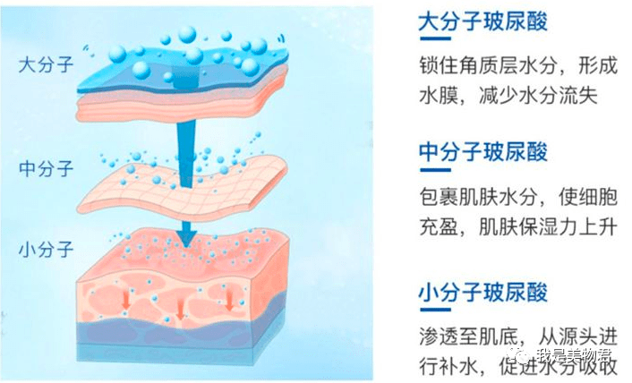 太阳不愧是人人熟知的天然保湿因子玻尿酸，春日维稳必备
