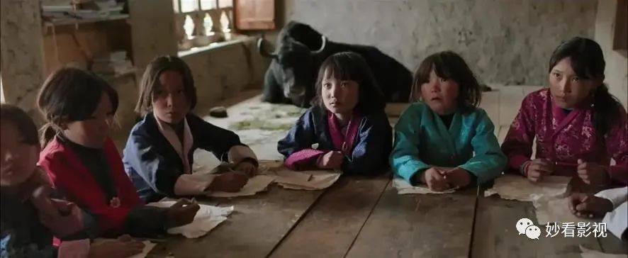 生活|教书育人触碰未来——《教室里的一头牦牛》