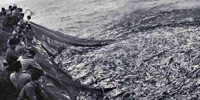 鱼多久能消化 c948b38de8b4448eafed774fd7770eb3.jpeg