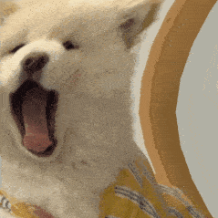 平台一夜之间风靡全平台的“白开水妆容”，有多白？