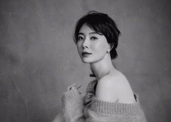 因为|43岁陈数“手撕”小三被叫好！董卿曾夸赞：她才是优雅女人的典范