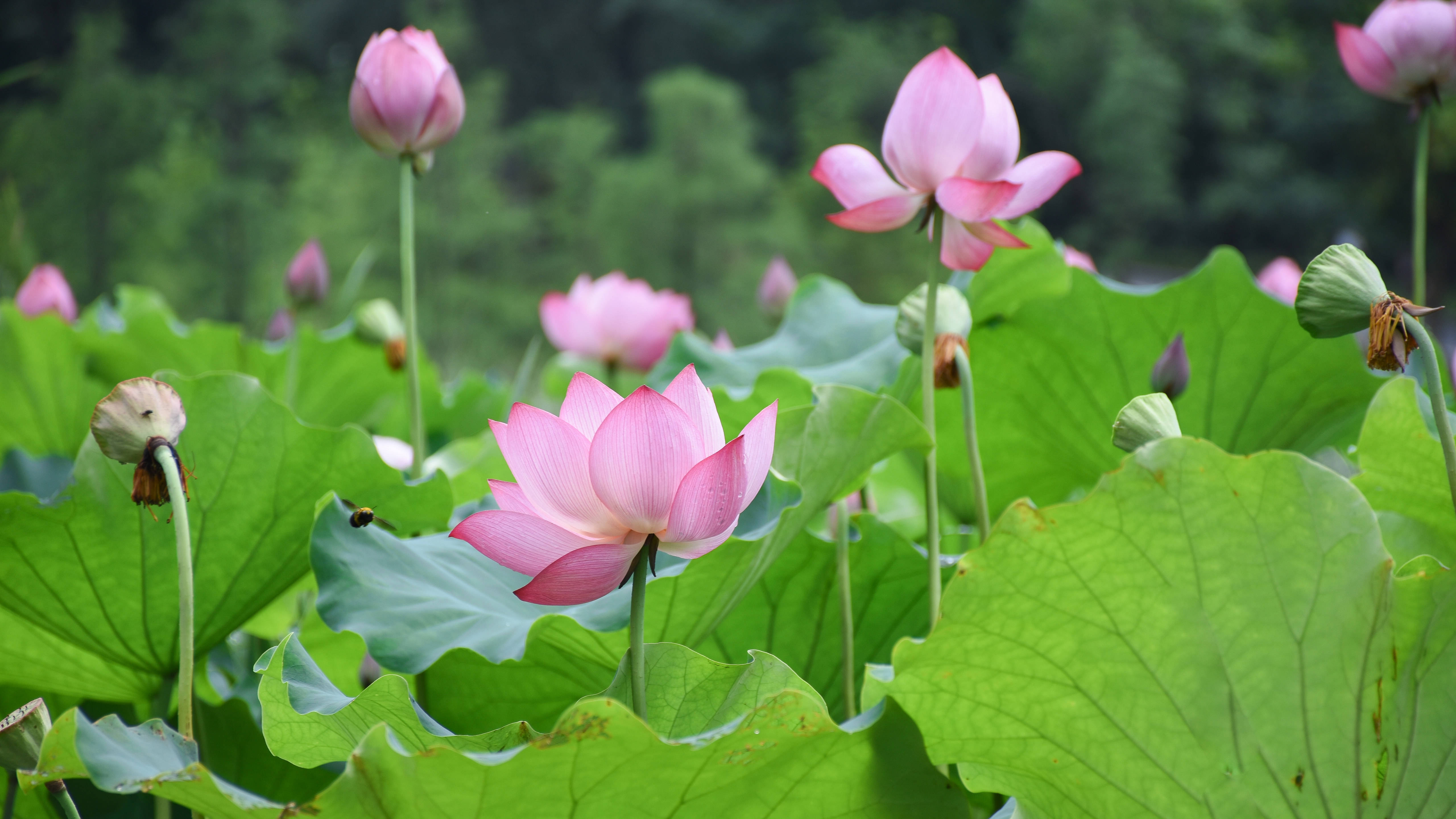 原创在3月份厚积薄发奋起直追收获满满的三大星座