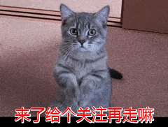 什么|貓咪零食紅黑榜｜看看你選對了沒有？