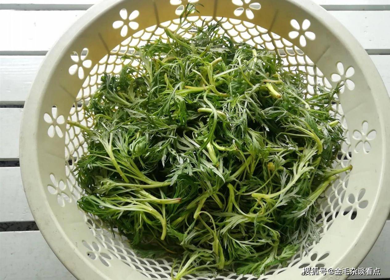 小根蒜小根蒜又名野蒜,菜芝,蕎子,大蒜和大蔥.