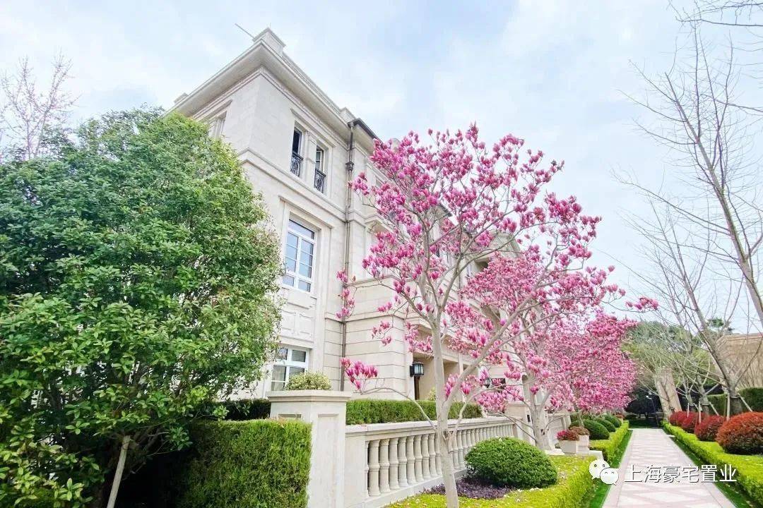 西郊青溪花园02西郊299建面669平联排别墅售价9200万