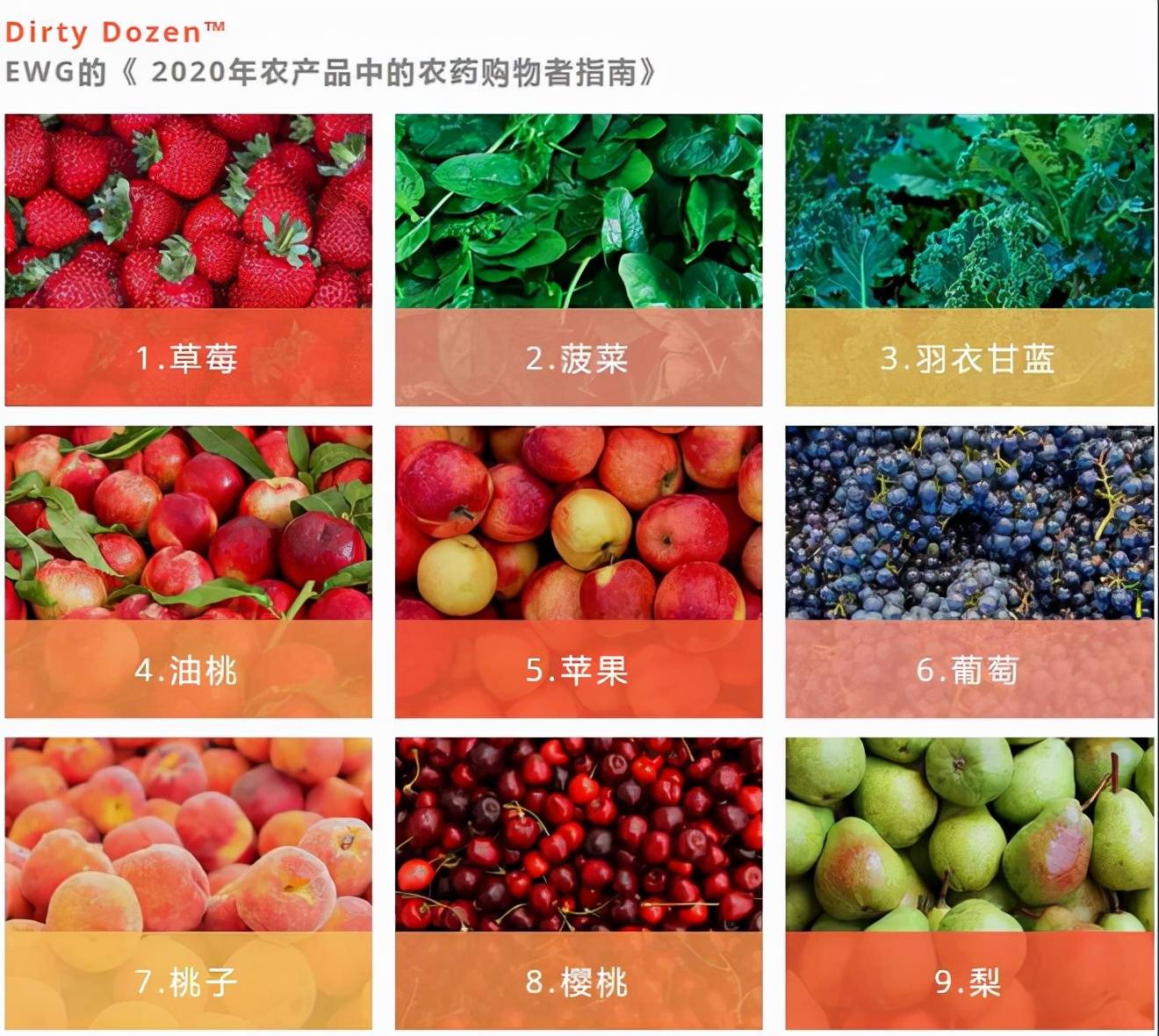 原创被列入为最脏蔬果榜单要问不推荐吃草莓理由可能就只有这一点