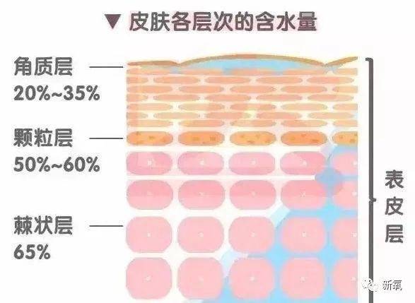 性敏感感受到春天来的幸福了吗？还是换季过敏在家不敢出门？