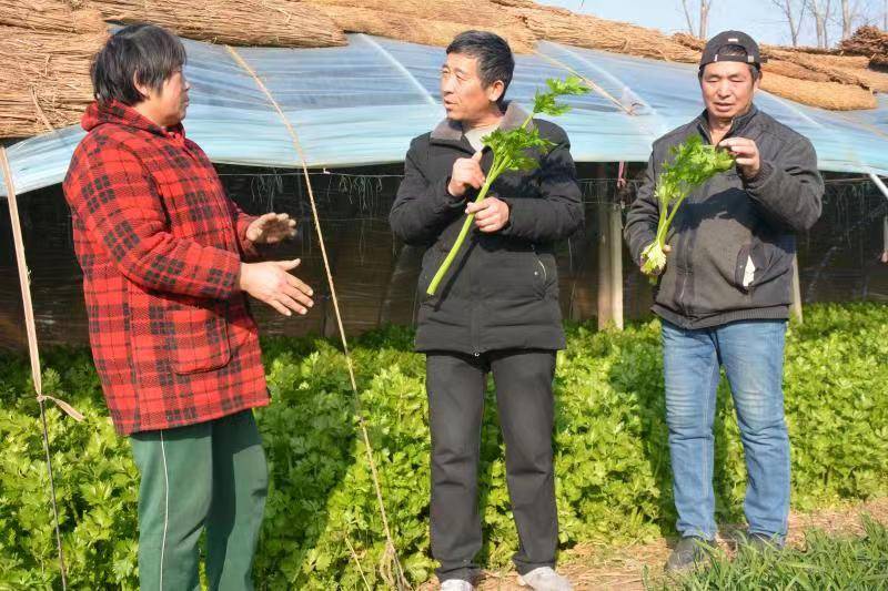 他把生命献给党_杨志林_工作_群众