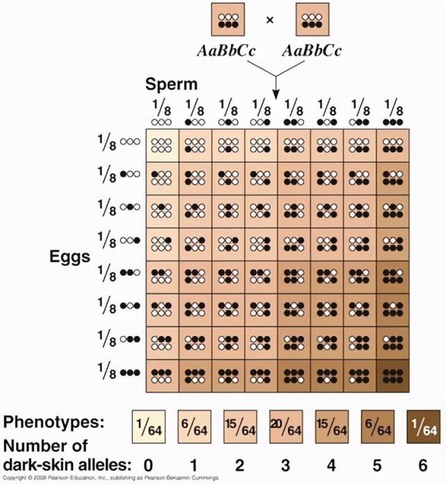 颜色|人类真的起源非洲吗？从人类皮肤颜色上来看，好像不是很科学呀