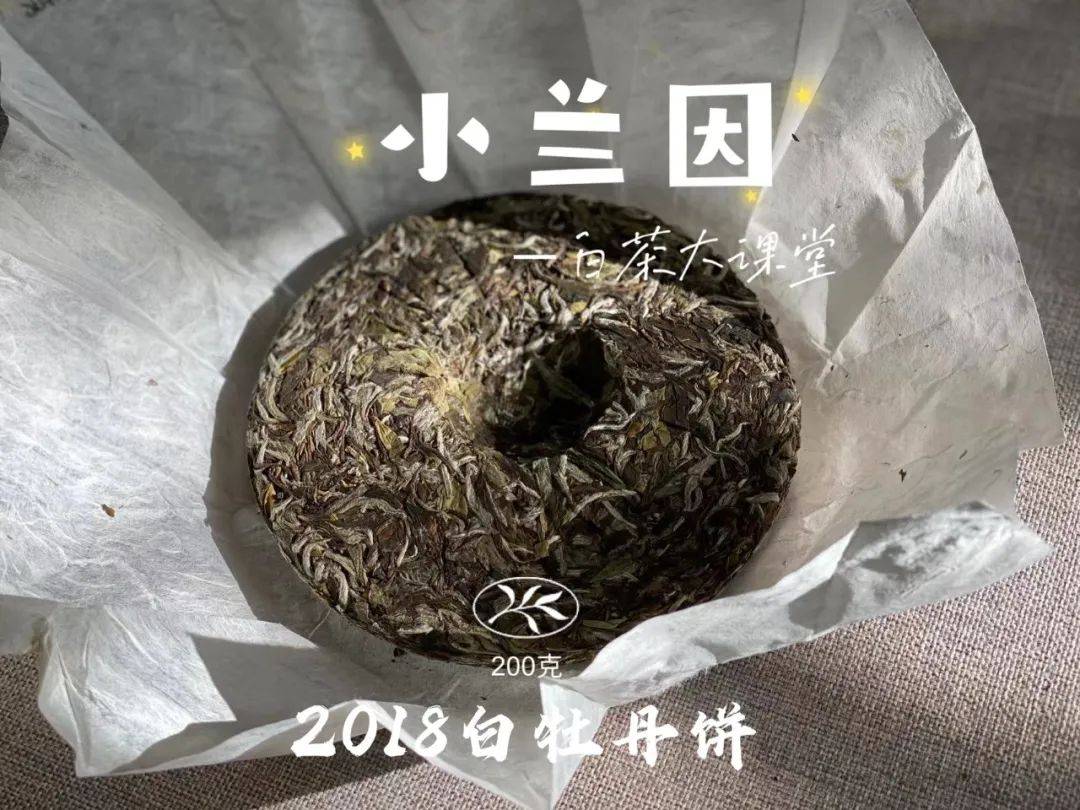 因为|盖碗冲泡白茶饼，“闷泡”和“快出水”二选一，你会选哪个？