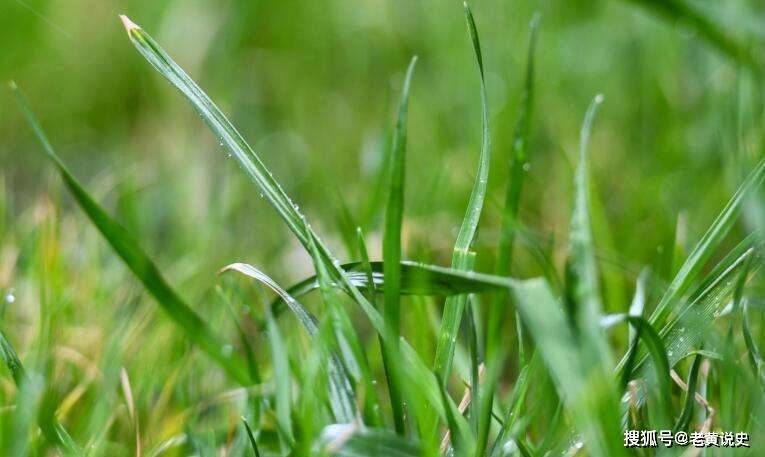 眉山|斜杠青年苏东坡的春天：情未老，诗酒趁年华！