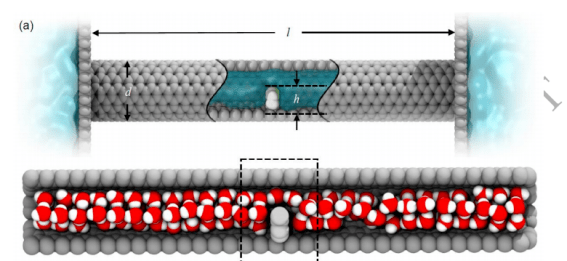 中国科学家发现受限水罕见类量子行为，将为研究水伏能源提供理论支撑。