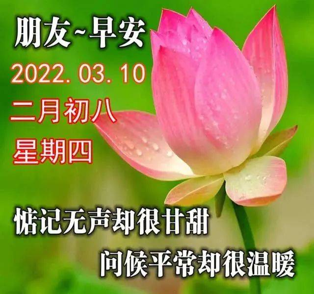 原創3月10日星期四清晨早上好問候祝福動態表情圖片週四最新早安問候