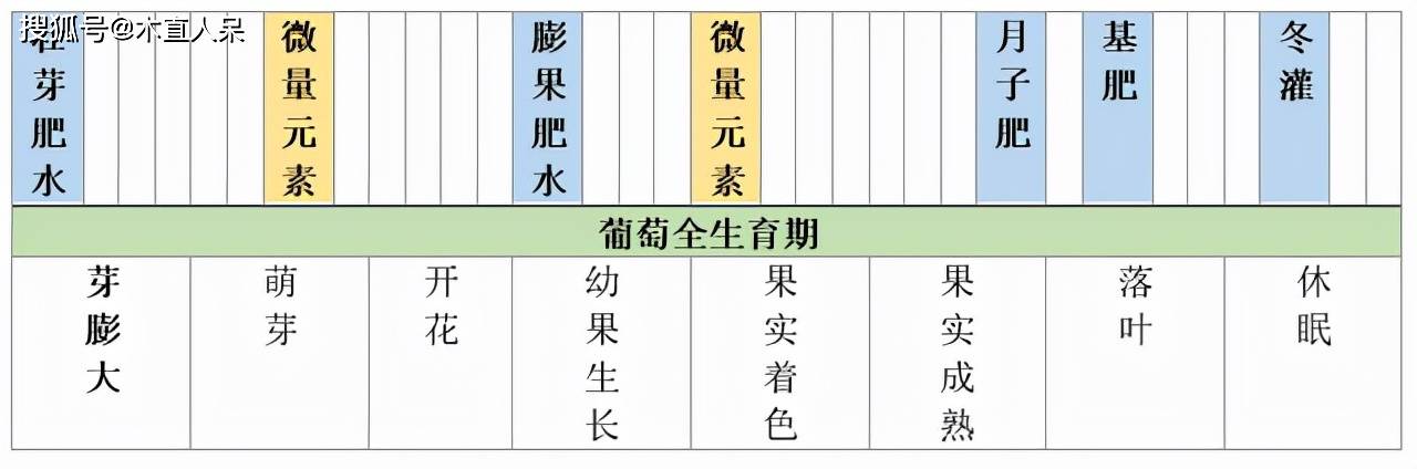 葡萄对土壤水分肥料的需求特性及管理措施需求特性及管理措施