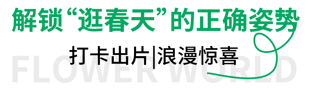 花展|春日限定后花园上线！「巴黎春天」邀你一起逛春天……