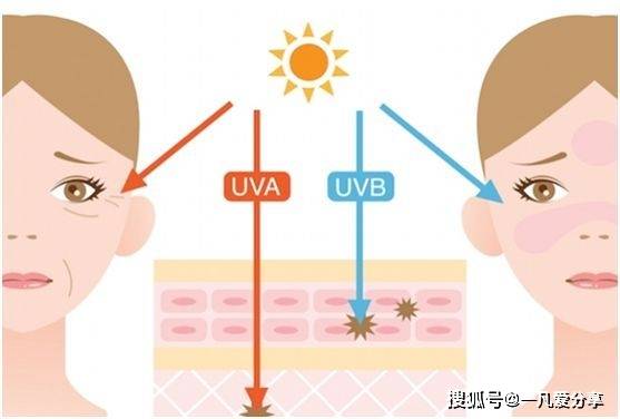 时节皮肤护理 | 春季皮肤如何护理呢？