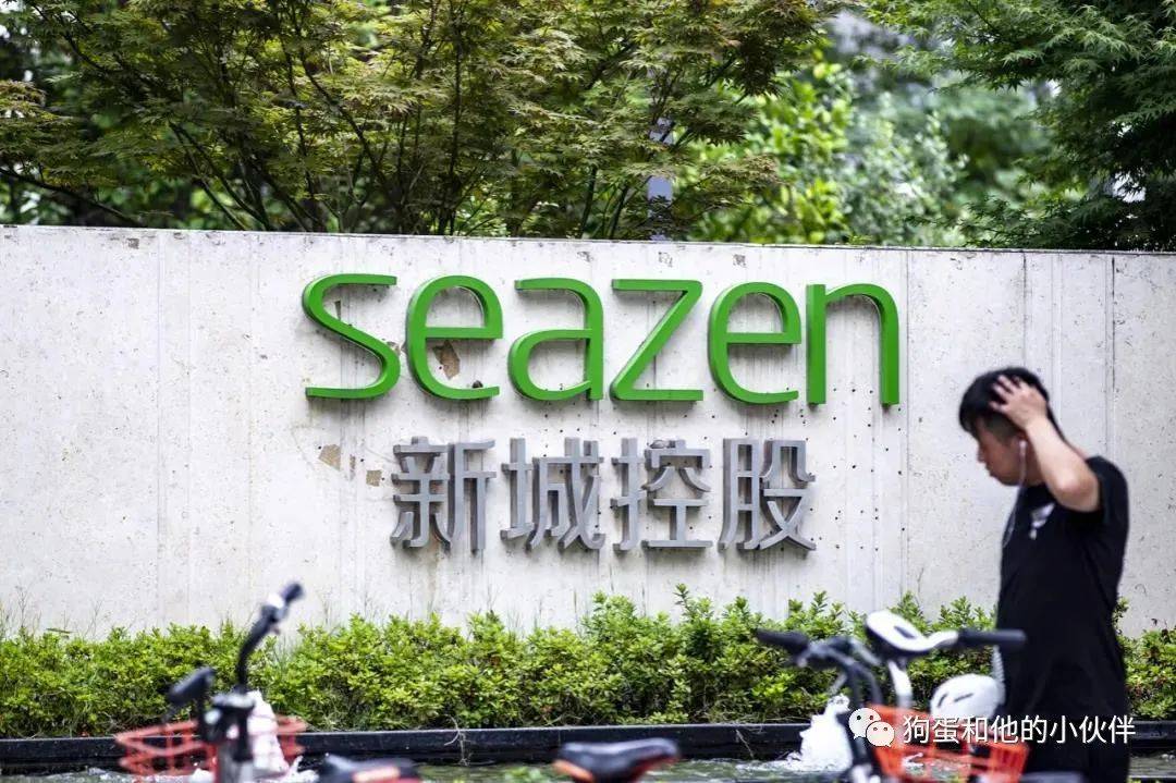 新城控股集团董事长王晓松