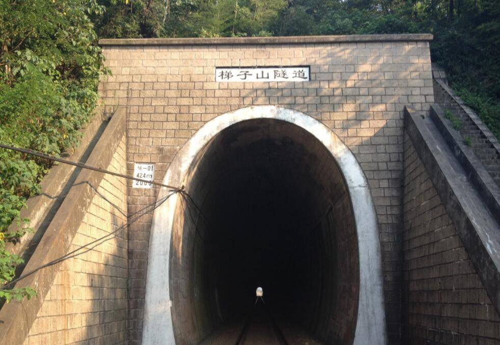 原创一手好牌打得稀巴烂长三角一条铁路发展遇瓶颈敢问路在何方