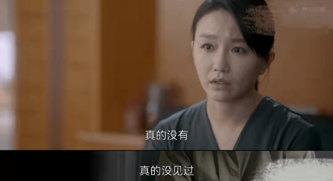 身份|猎罪图鉴:雷队案真相梳理!神秘女子身份揭晓,她就藏在沈翊身边