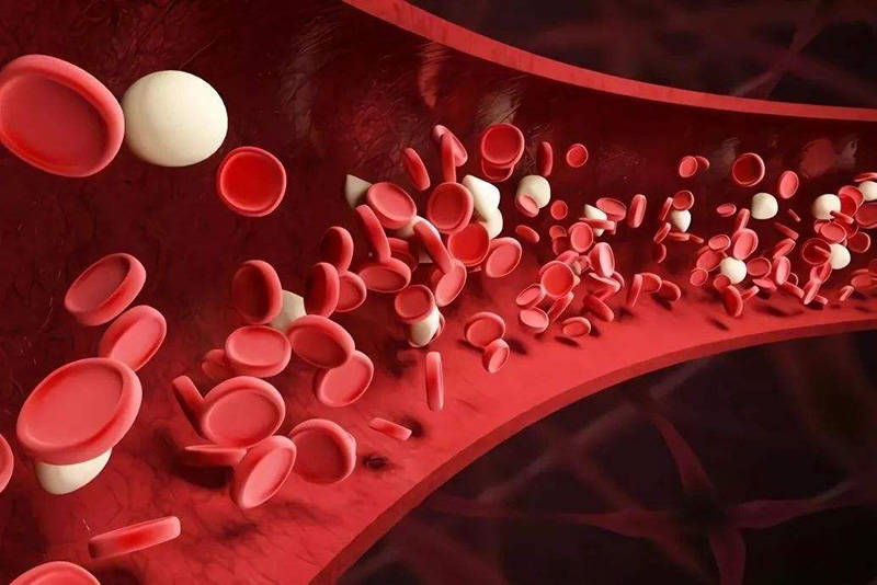 微循环堵塞的危害微循环不通怎么办五大改善微循环方法告诉你