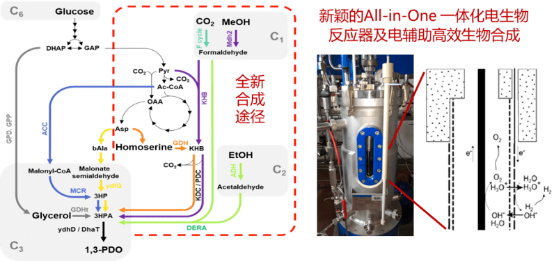 华人|德国工程院首位华人教授院士首创1,3-丙二醇和有机酸酯联产工艺