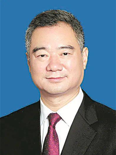 王清宪代表共同提升法治政府建设水平