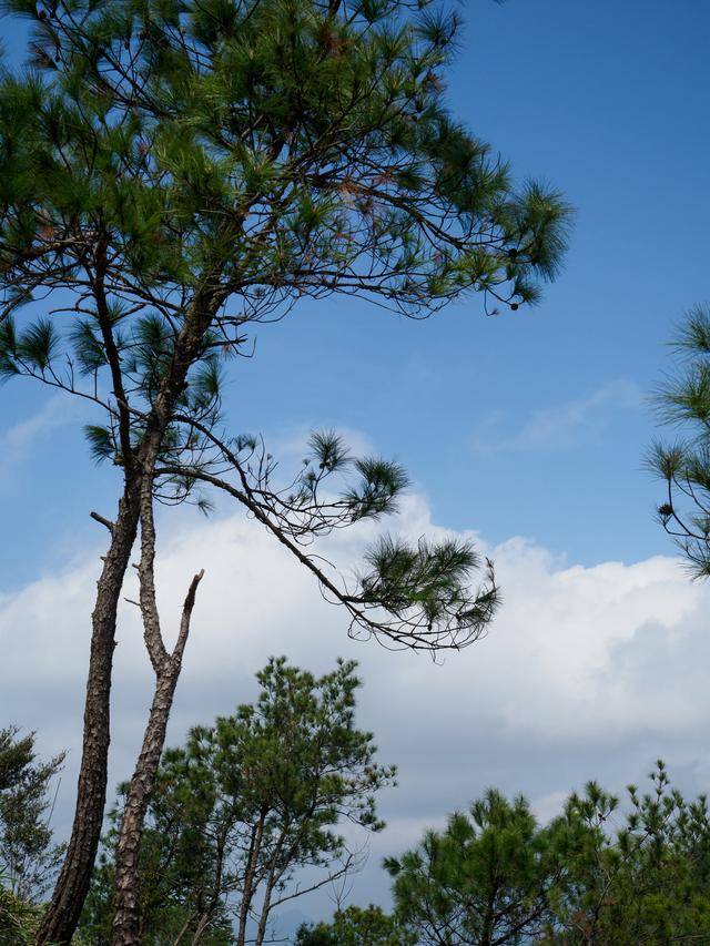 历史|神奇的方壶岩，岩下方壶寺竟是南拳发源地