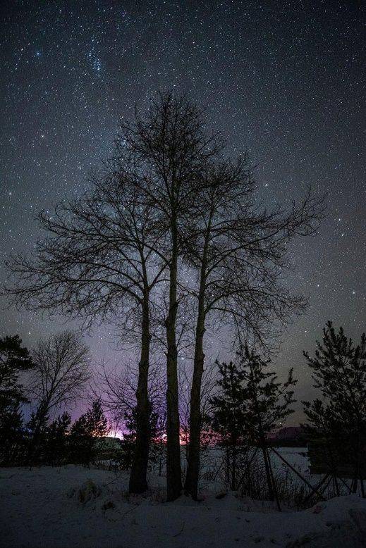 在身边夜幕下的乡间享受悠闲的快乐