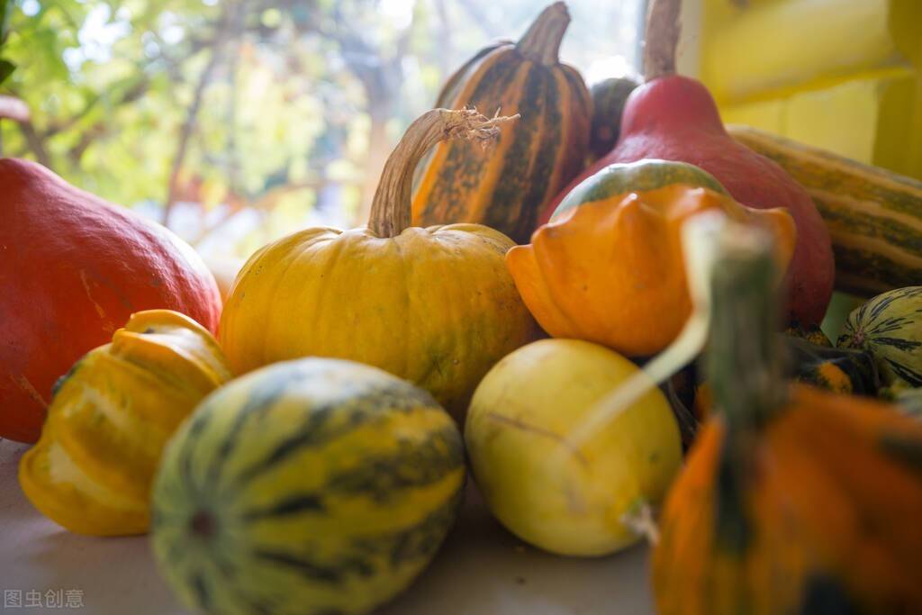 加入适量|养生从肠道开始,长寿老人要常吃“八宝”,调理肠胃,健康过春天