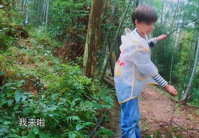 全素人|芒果台也有失手的时候？这档冷门综艺在豆瓣只有18条评论