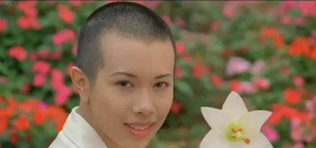 光头|同样是光头造型，陈冲宁静惊艳，孙菲菲殷桃吓人，杨幂太敷衍