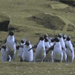 玛吉20岁发腮了怎么办?