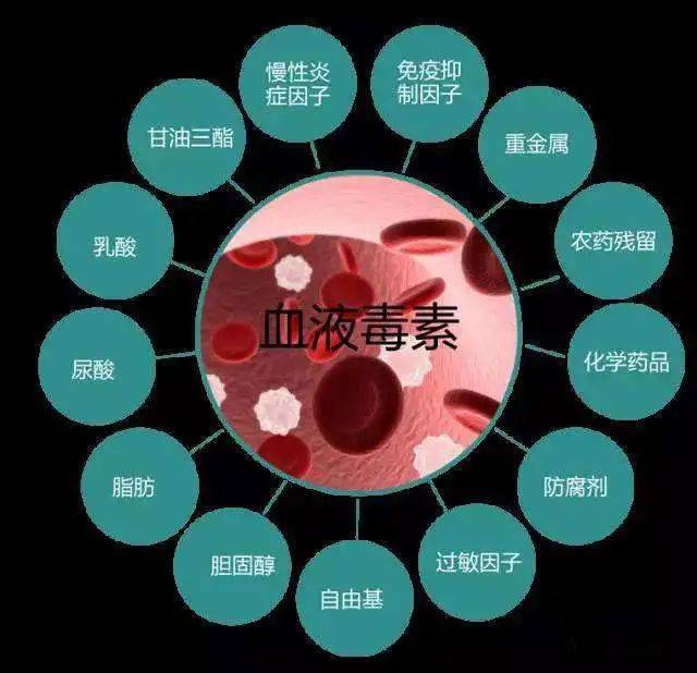 弓奇医疗健康管理集团在血液净化耗材方面有着长达十余年的研发及生产