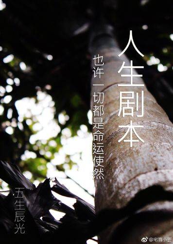 任何人来到这个世界父母都没有争取过你的意见,每个人的人生剧本都不