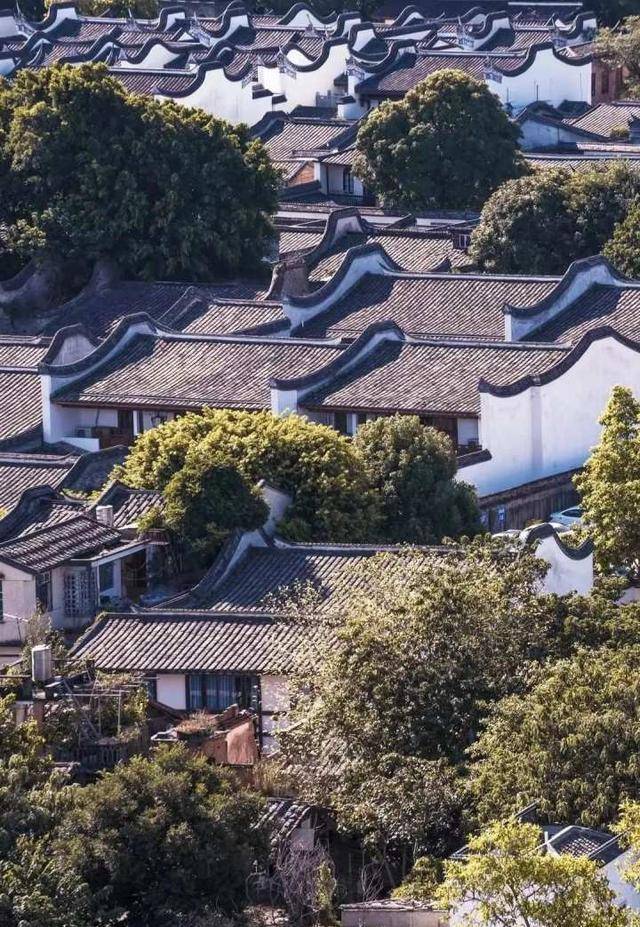 天水|消防类综艺又出爆款，《一往无前的蓝》火了教官张天水