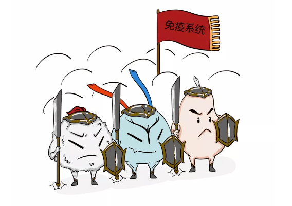 趁早储存免疫细胞3道防线为你的健康充满电