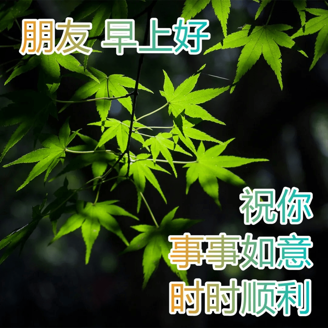 原創美好祝福早上好動態表情包暖暖的早安動態祝福圖片