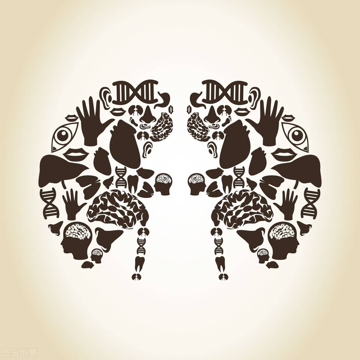 症状|肾脏疾病最后都会到肾衰竭,肾衰竭是什么?怎么导致的