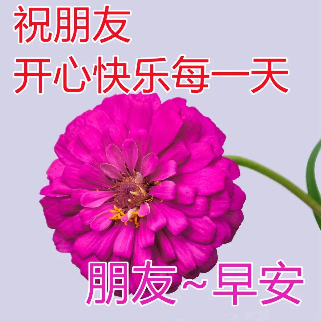 原創很漂亮的早上好祝福圖片最新早上好的祝福圖片大全