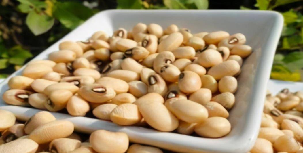 白豆也就是我们平时说的眉豆,它是植物菜豆的种子,它多为圆形或者扁圆