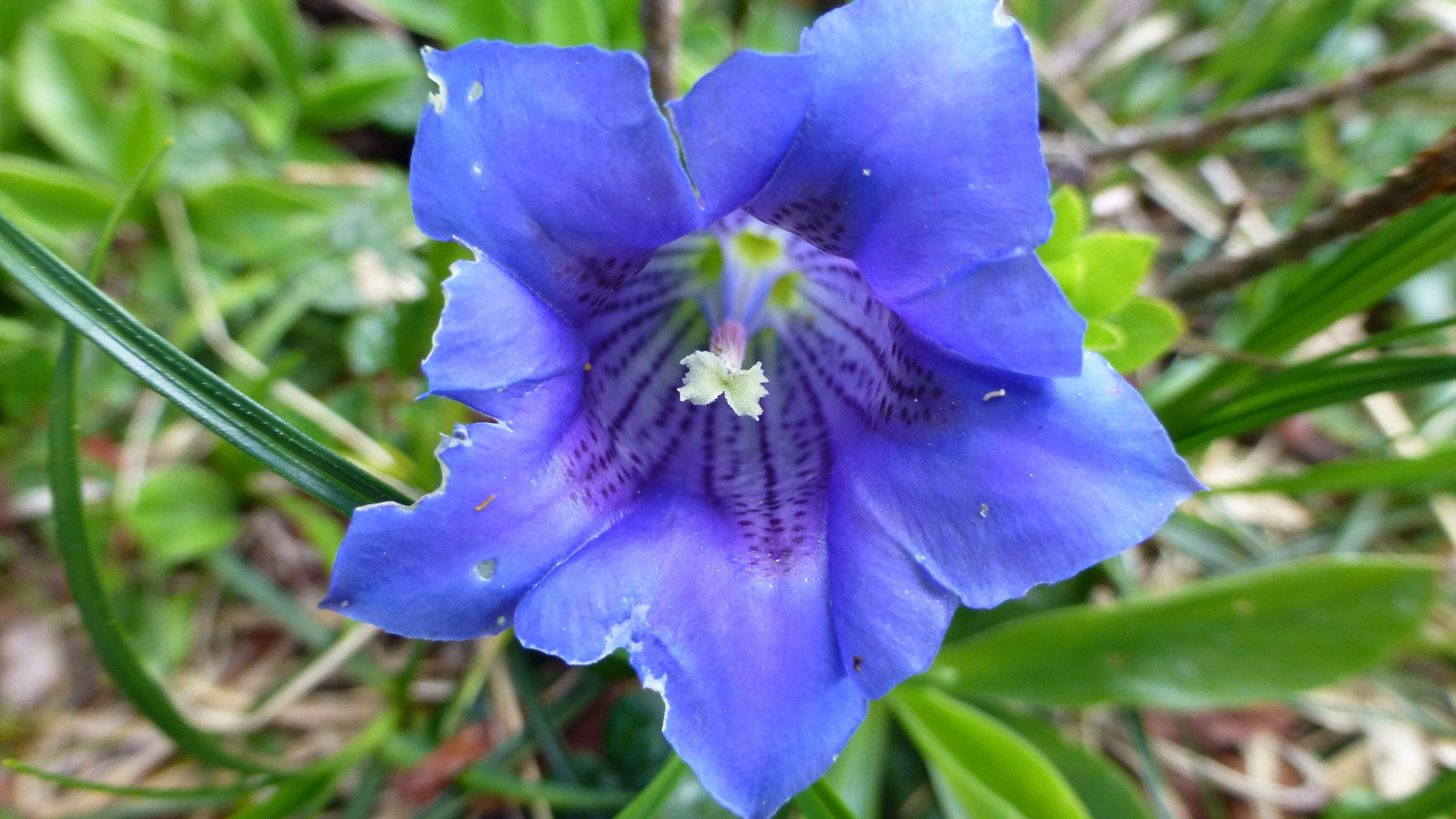 3月下旬,摆脱困境,柳暗花明,生活无忧的三大星座_狮子座_离开_爱人