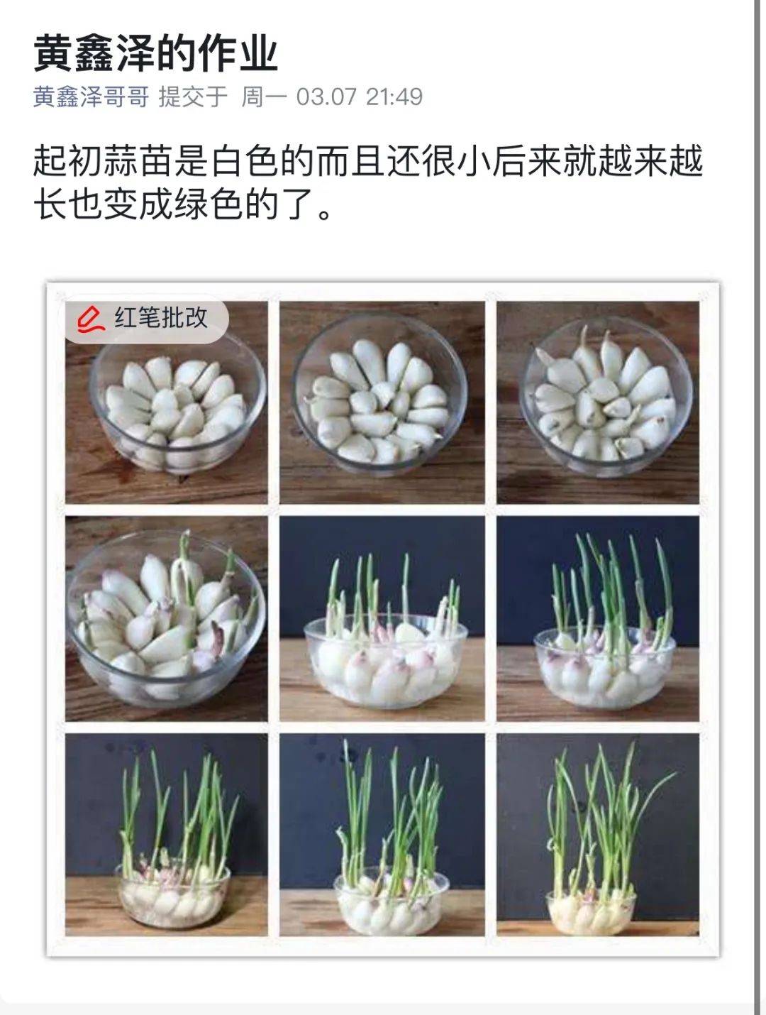 开辟小农场不负春光好惠济区实验小学植树节主题系列活动