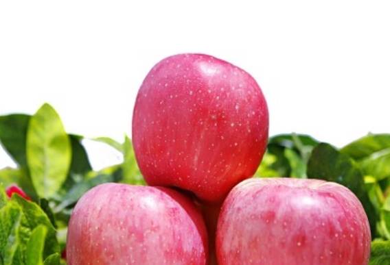 苹果怎么吃才好吃又健康 7c336dc701df46078c01acdd579e04ea.jpeg